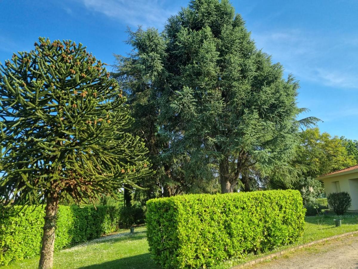 Les 3 Cedres Villa Miramont-de-Guyenne Dış mekan fotoğraf
